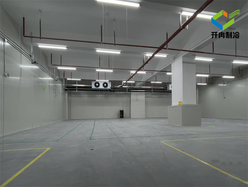 建造一個(gè)500平方氣調(diào)冷庫(kù)造價(jià)設(shè)計(jì)方案