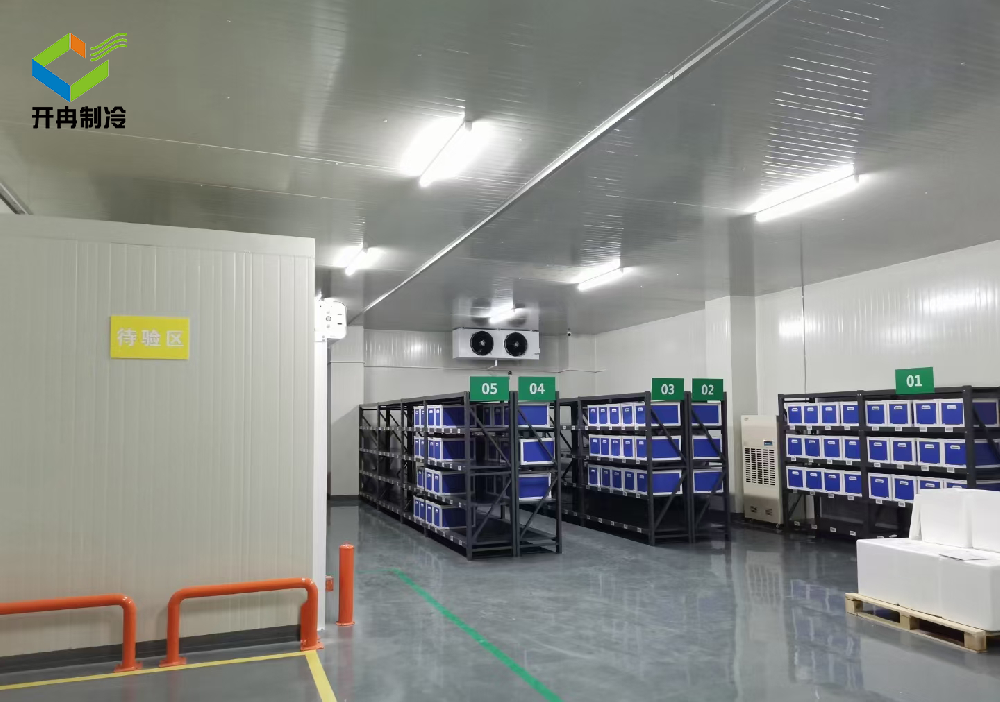 藥品冷庫(kù)冷藏設(shè)備建設(shè)規(guī)劃定制設(shè)計(jì)