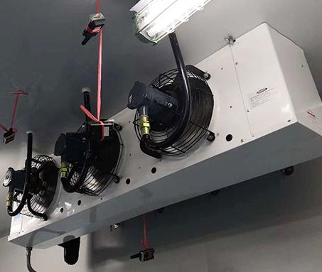 食品冷凍庫_預制菜冷庫是什么?_開冉制冷