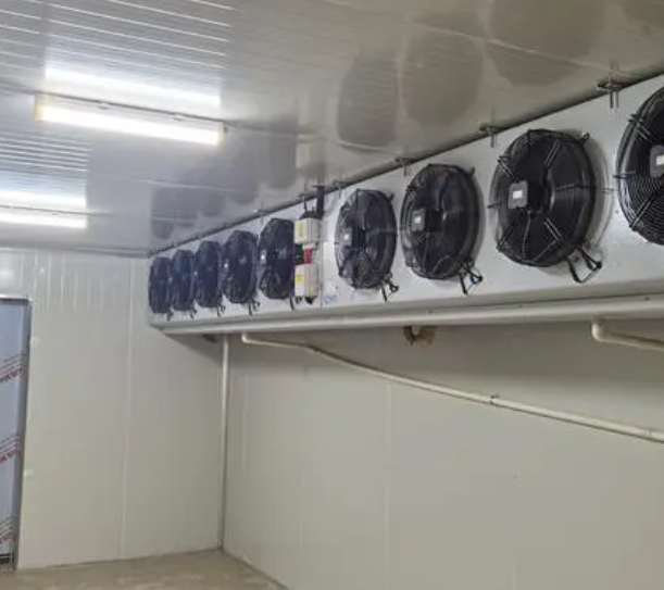 速凍冷庫的優點有哪些?_上海開冉制冷