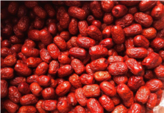 安裝一個500噸紅棗冷庫造價(jià)是多少