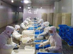 青島安裝一個水產海鮮冷凍庫需要多少錢？