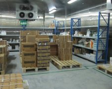 建個1000平米醫藥冷庫，大概要多少錢