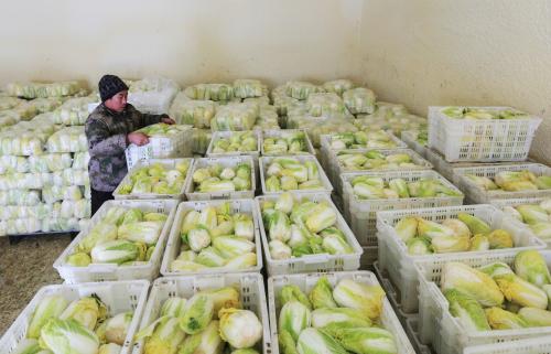 5000噸蔬菜保鮮庫