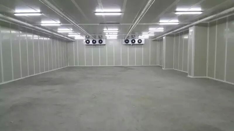 氣調(diào)保鮮冷庫 氣調(diào)保鮮冷庫