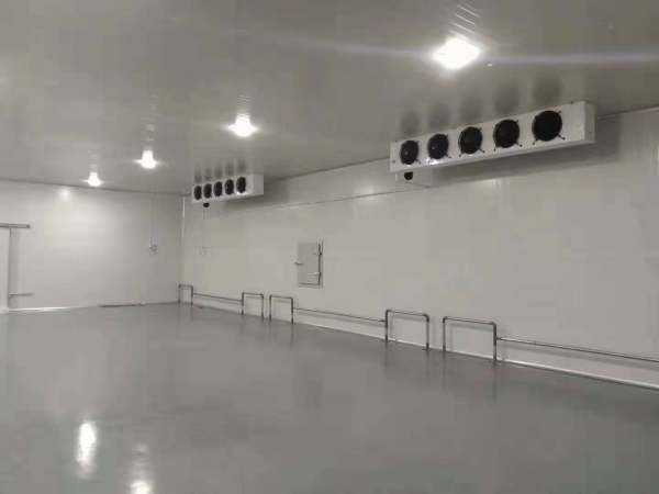 500平方米恒溫冷庫(kù) 500平方米恒溫冷庫(kù)