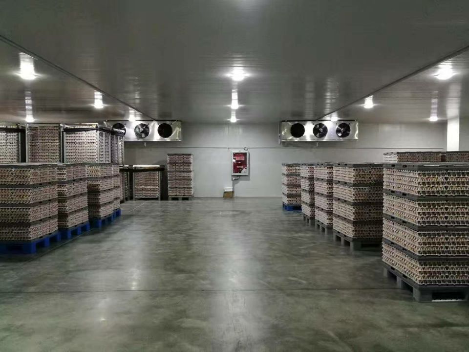 1000立方食品冷藏庫 1000立方食品冷藏庫