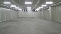 新建500噸香蕉水果氣調庫需要多少錢？