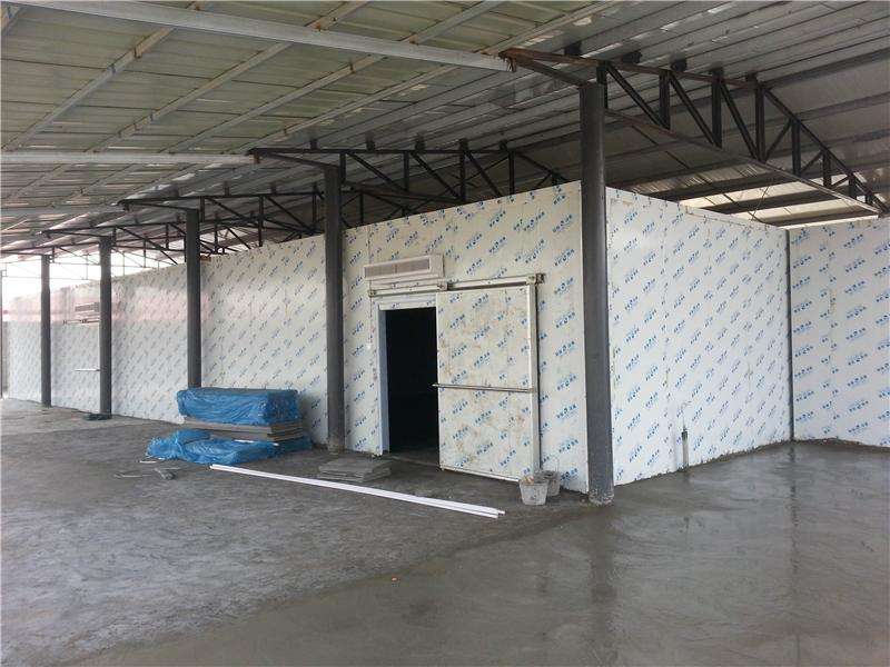 浙江建-60℃金槍魚超低溫冷庫，冷庫總價預算多少