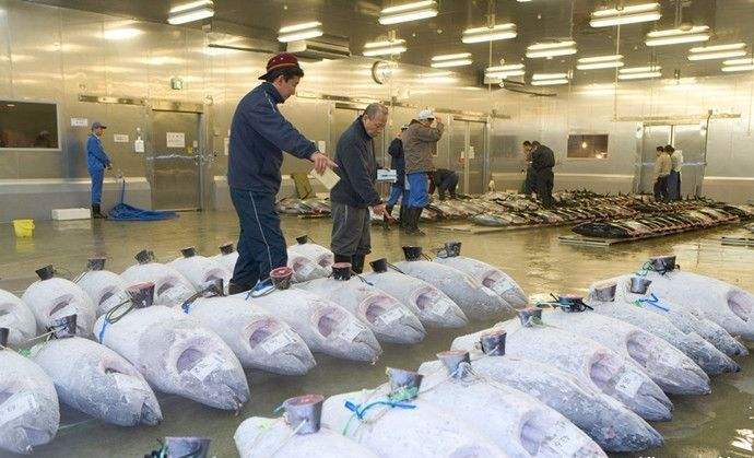 500噸水產冷庫 500噸水產冷庫