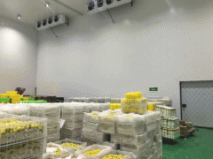 1000平方米果蔬冷庫安裝需要多少錢？