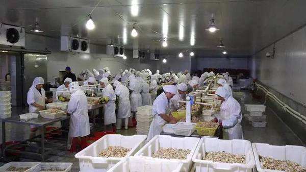 1582527252244732.jpg timg (9).jpg