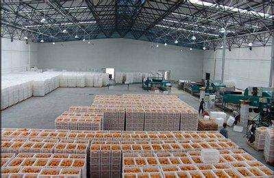 3000平米水果保鮮庫 3000平米水果保鮮庫