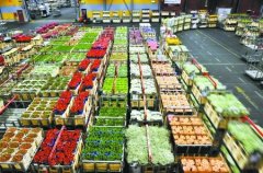 1000平米鮮花冷庫怎么安裝？造價(jià)費(fèi)用是多少