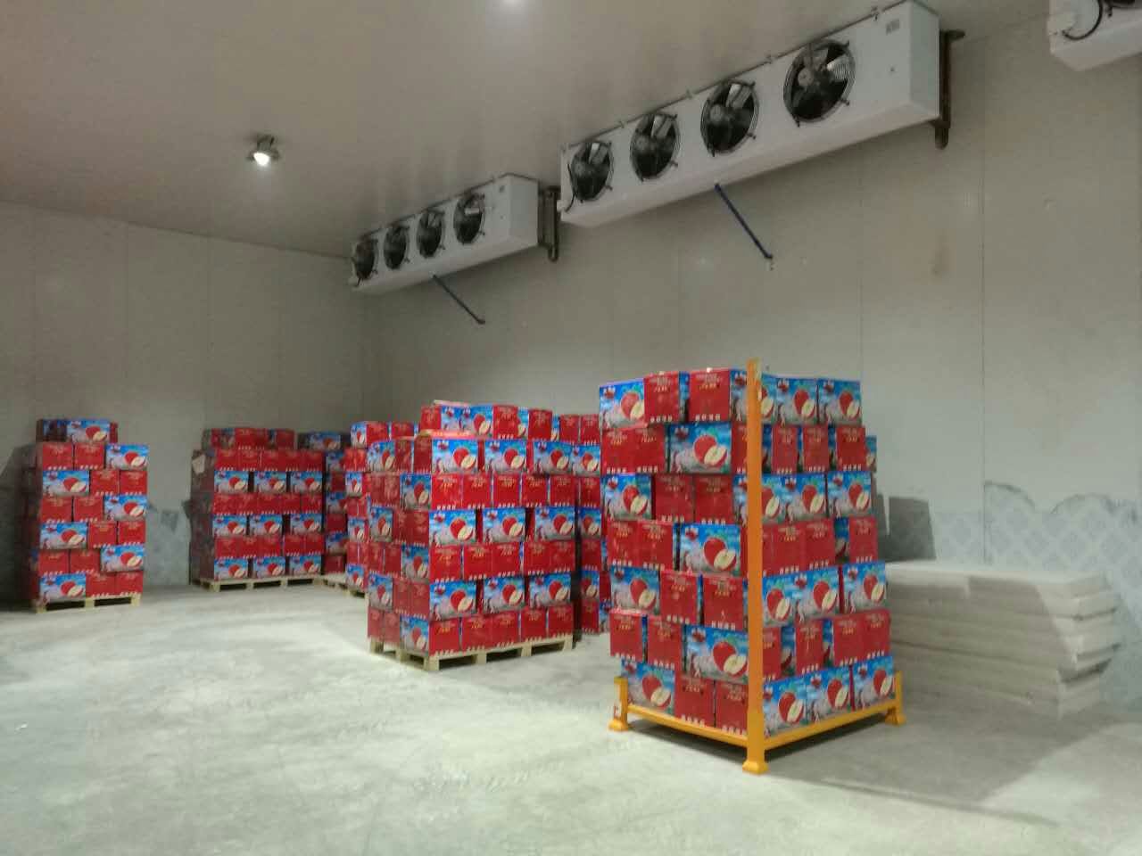 1800噸蘋果冷庫 1800噸蘋果冷庫