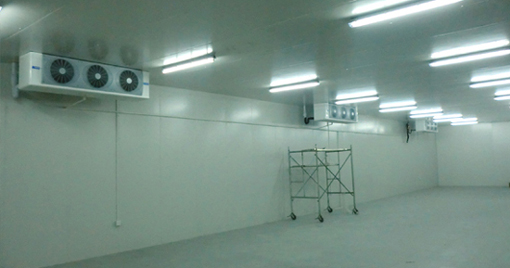 保鮮冷庫(kù)2500立方造價(jià)需要多少錢