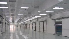 建造2000平米食品批發冷藏庫(低溫冷藏室)安裝造價多少錢