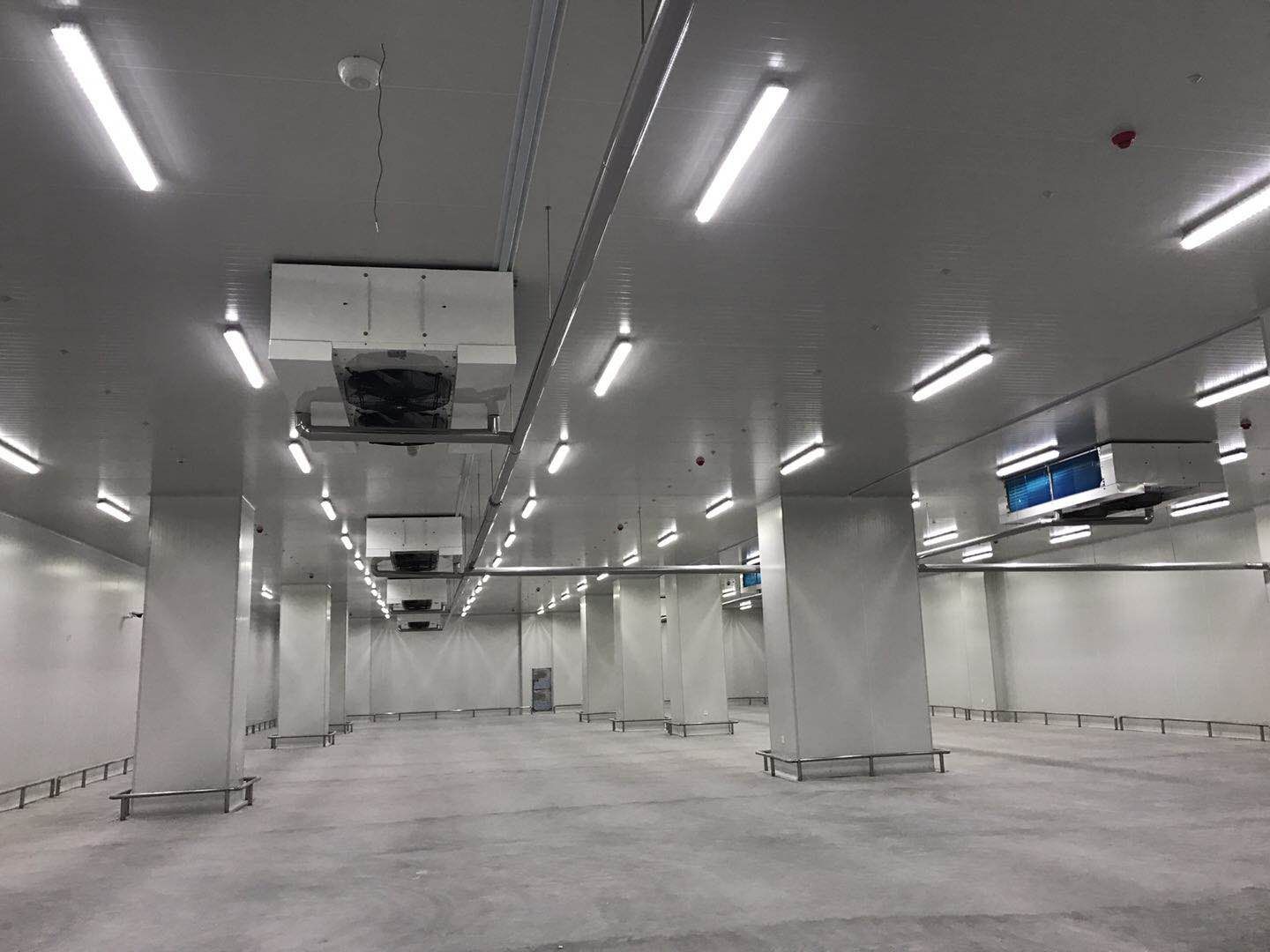 河北尚品15000m3倉儲物流低溫冷藏冷凍庫新工程案例 河北尚品15000m3倉儲物流低溫冷藏冷凍庫新工程案例