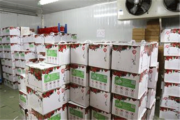 果蔬保鮮冷庫 果蔬保鮮冷庫