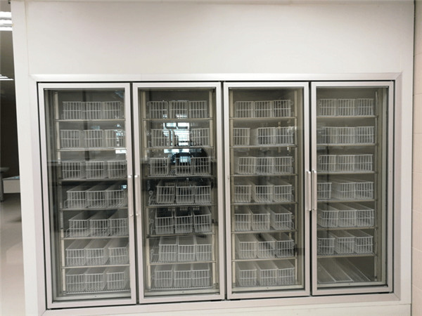 三甲醫(yī)藥冷庫(后補式冷庫) 三甲醫(yī)藥冷庫(后補式冷庫)