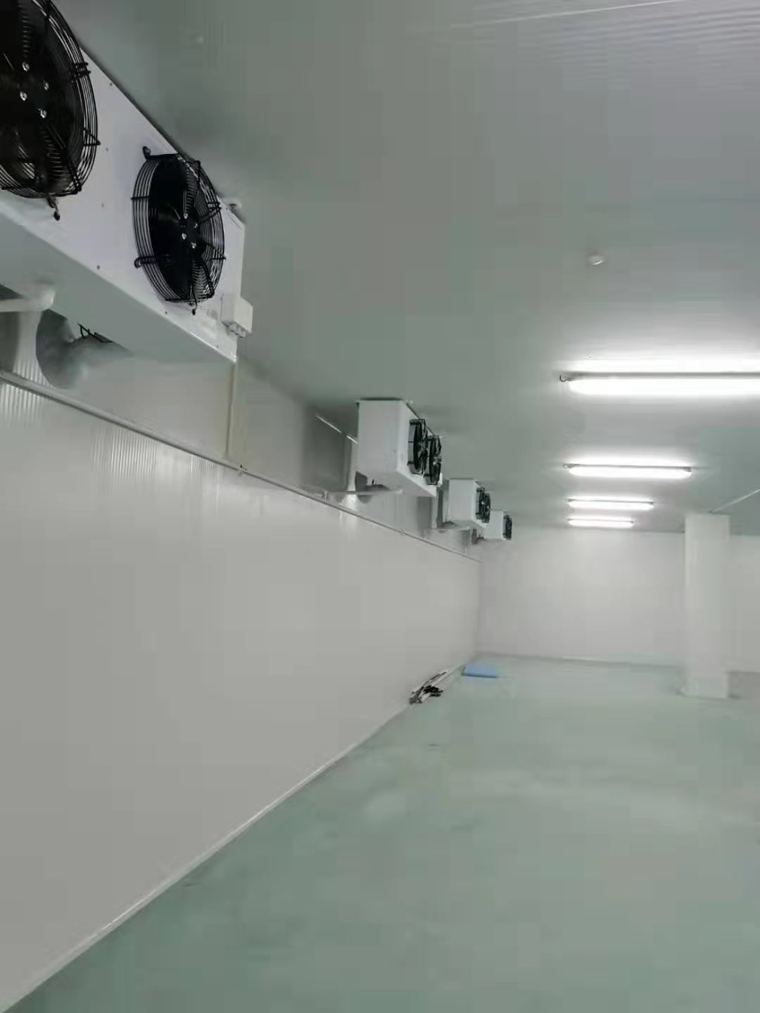 超低溫庫(kù)生物樣本冷庫(kù) 超低溫庫(kù)生物樣本冷庫(kù)