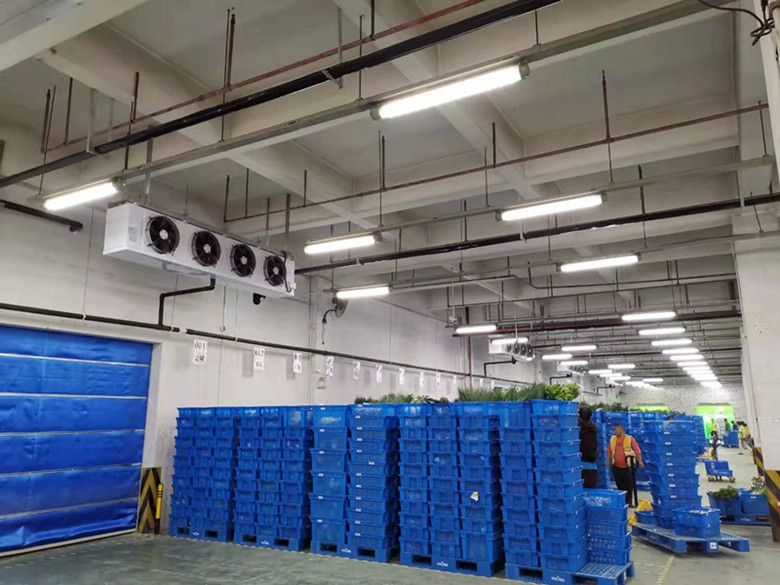 投資大型冷鏈配送中心冷凍庫設(shè)備安裝費(fèi)用多少 投資大型冷鏈配送中心冷凍庫設(shè)備安裝費(fèi)用多少