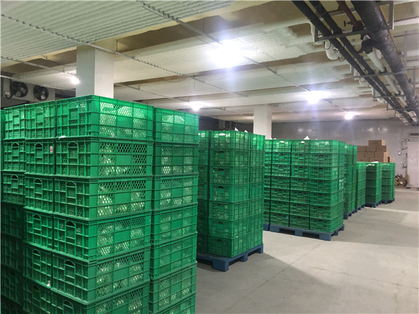 1000平冷凍食品冷庫 1000平冷凍食品冷庫