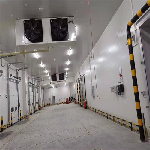 1621415537677618.jpg 1621415537677618.jpg