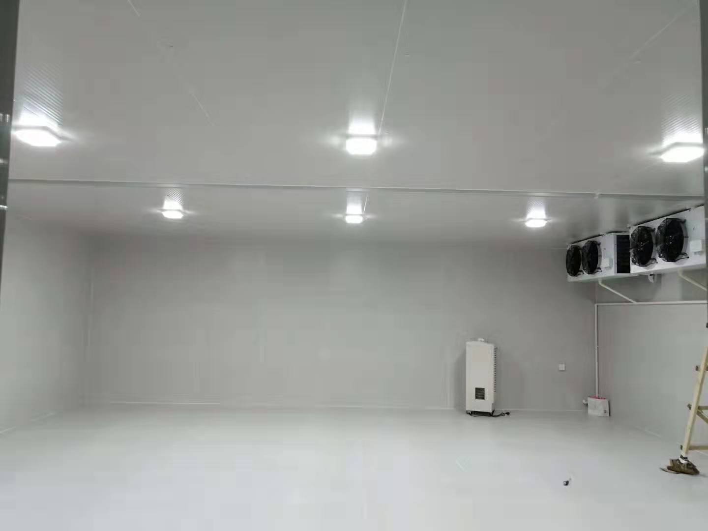 魚(yú)糜低溫冷凍庫(kù) 魚(yú)糜低溫冷凍庫(kù)