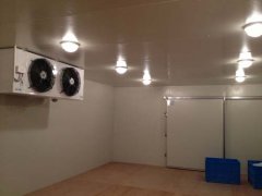 220V能建冷庫多大?(低溫冷庫)