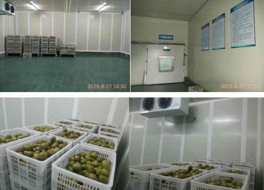 重慶互鵬農(nóng)業(yè)發(fā)展有限公司獼猴桃氣調(diào)保鮮庫內(nèi)景