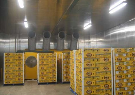 300噸葡萄保鮮庫(kù)造價(jià),葡萄冷庫(kù)保鮮期及溫度