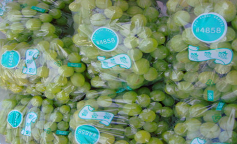 300噸葡萄保鮮庫(kù)造價(jià),葡萄冷庫(kù)保鮮期及溫度