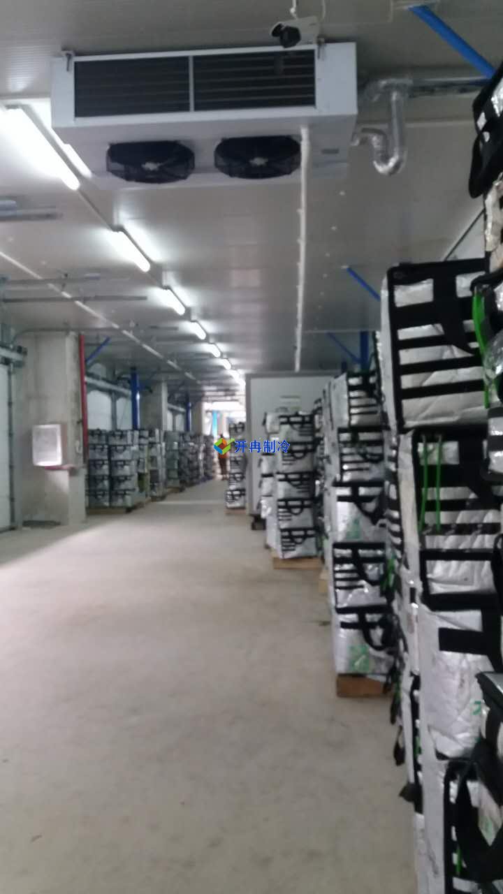 豬肉加工車間冷凍庫建設,排酸冷庫設計規(guī)劃方案