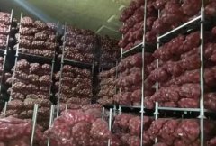 洋蔥冷藏庫安裝設(shè)計(jì)及造價(jià)，洋蔥保鮮期