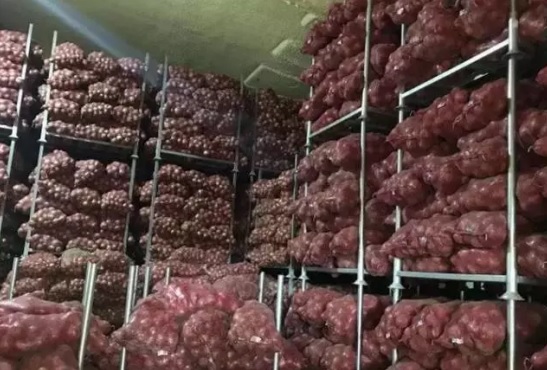 洋蔥在冷庫存儲多久，洋蔥冷藏庫安裝設計及造價