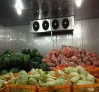 50噸蔬菜保鮮庫決定造價的因素有哪些?