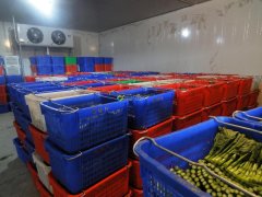 武漢7000立方米果蔬冷庫安裝需要多少錢?