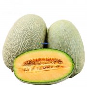 哈密瓜在保鮮庫可以儲(chǔ)存多久，儲(chǔ)存溫度是多少？