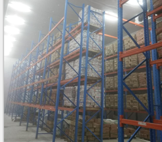 廠房面積1500平 生鮮冷庫鋼結構冷庫建造總投資多少？