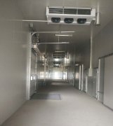-25℃低溫海鮮魚肉加工廠冷凍庫安裝設計標準費用多少？