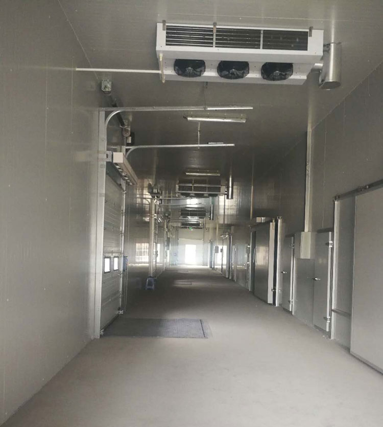 -25℃低溫海鮮魚肉加工廠冷凍庫安裝設(shè)計(jì)標(biāo)準(zhǔn)費(fèi)用多少？