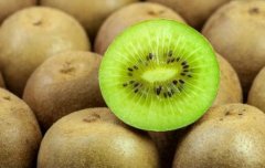 獼猴桃氣調保鮮冷庫造價,氣調庫哪家好